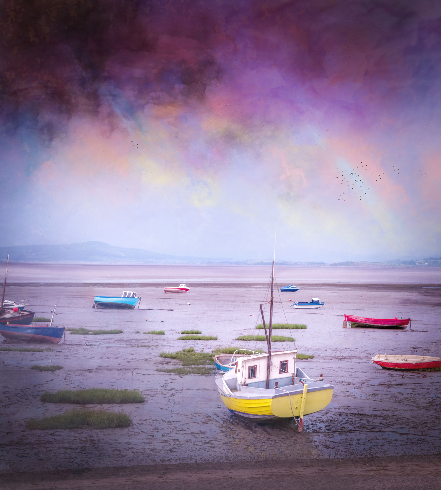 49802788321 cfddbcf71d o