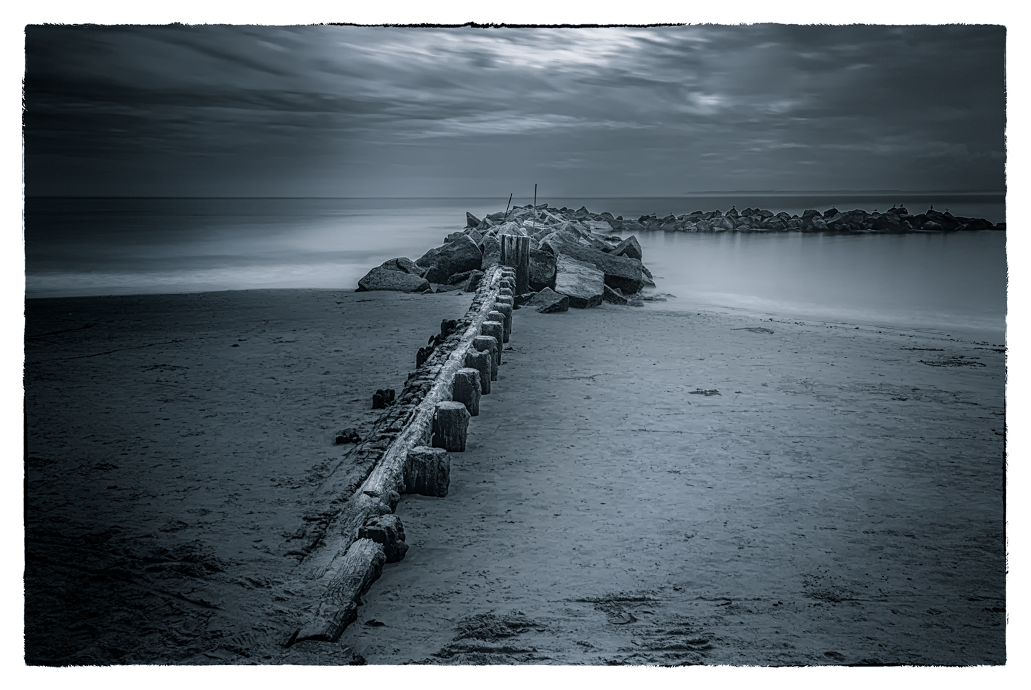 Blurbirdsandthebigtunafish