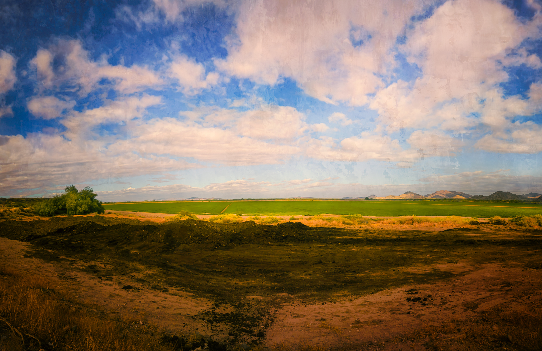 Capitalism X Socialism