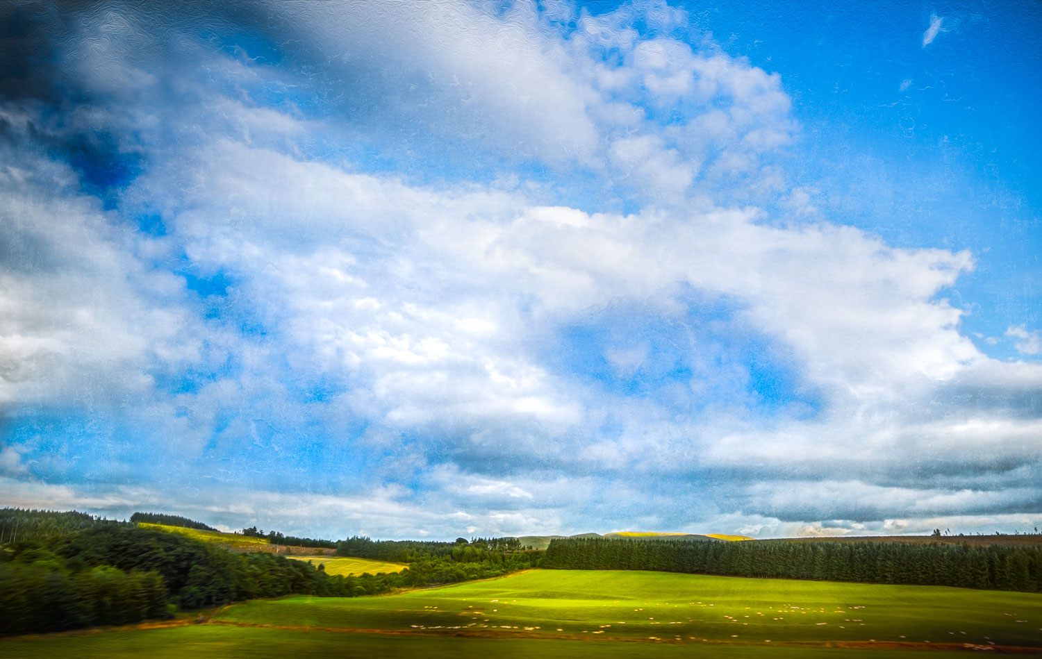 Trying to develop taste but the ship was too fast