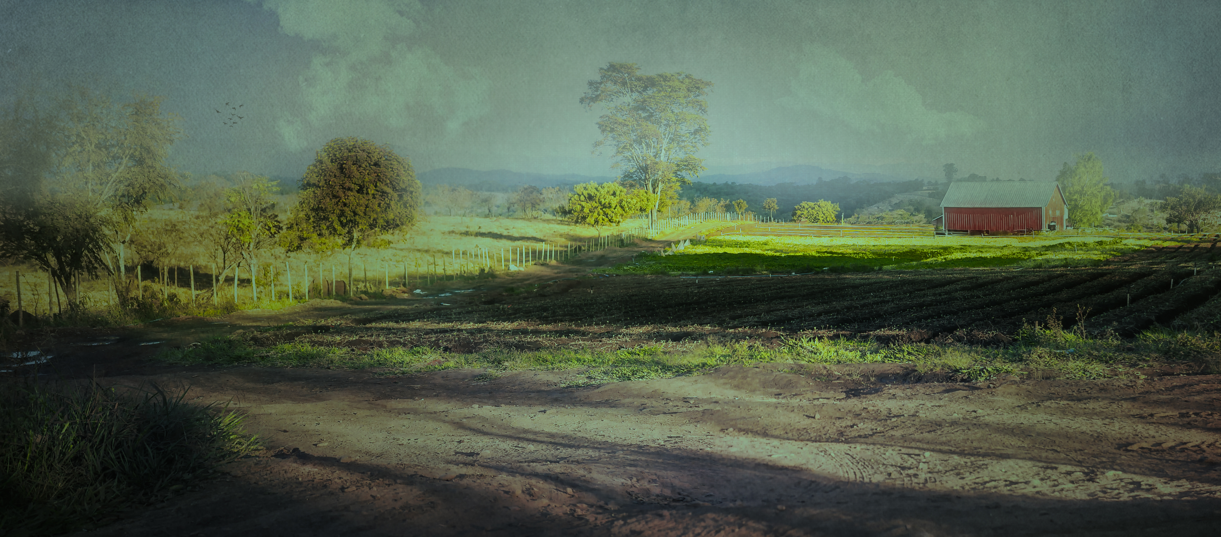 C0untrybarnforwebpage