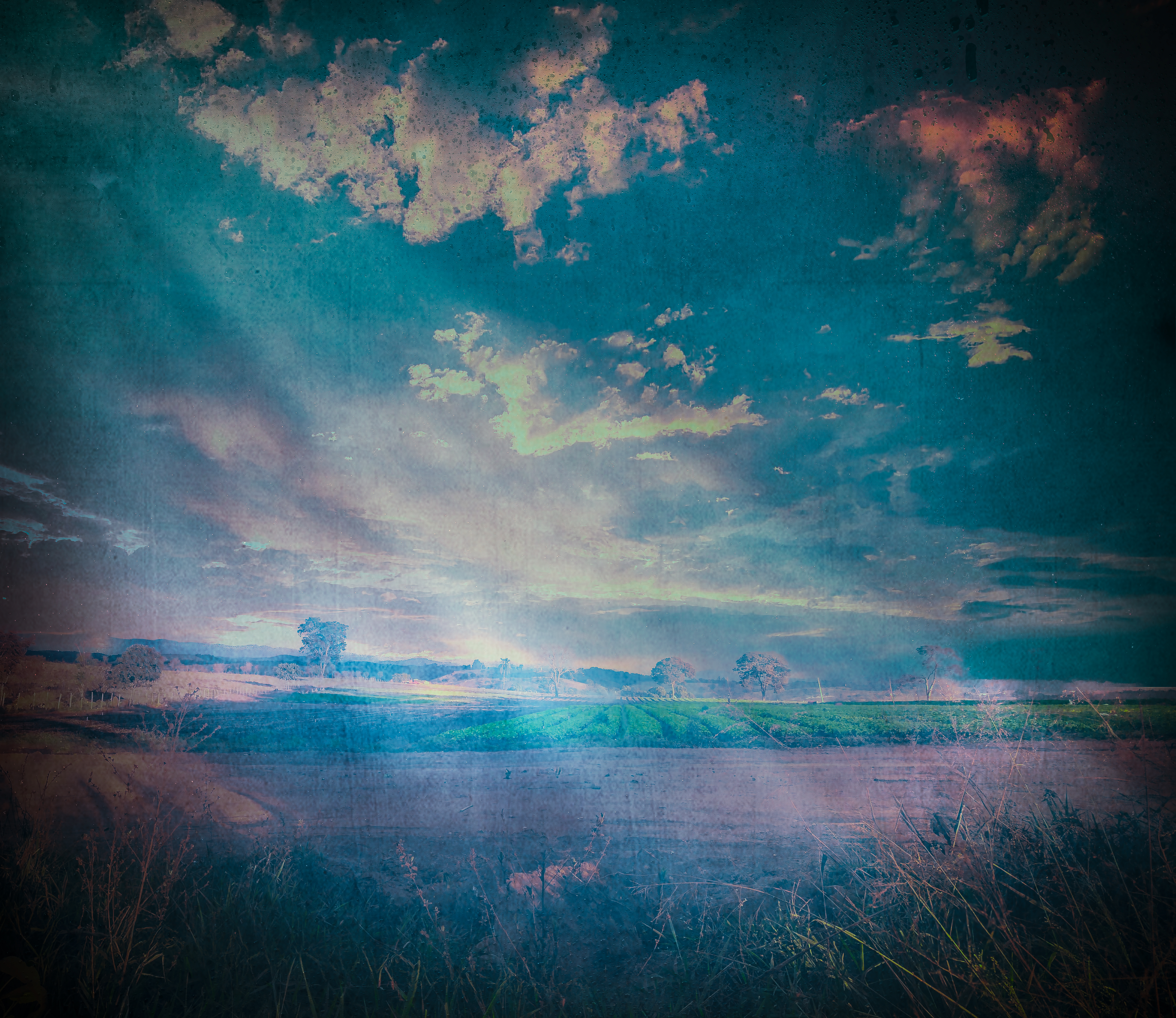 Guiltassinforwebpage