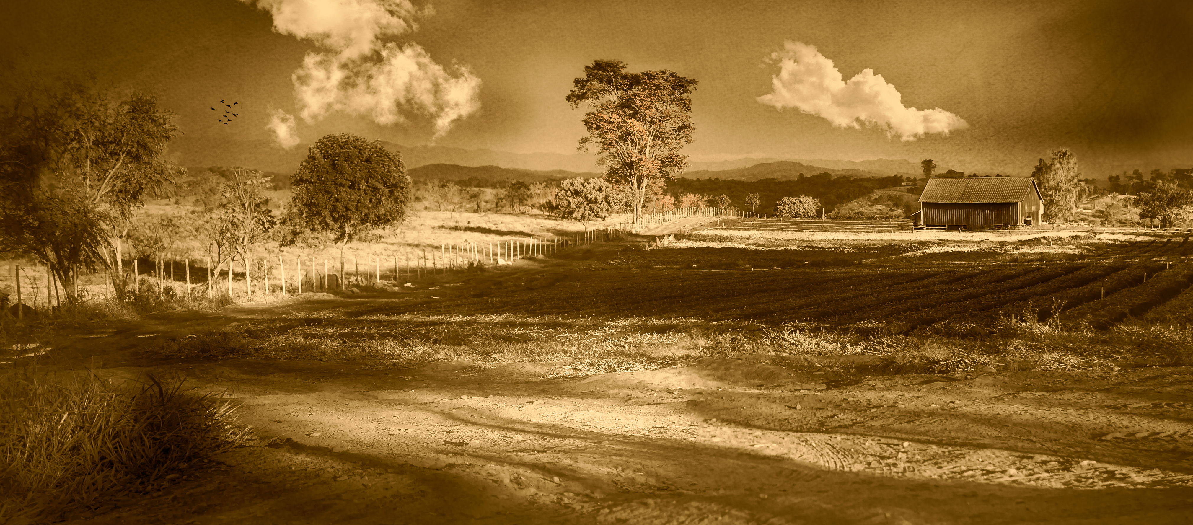 Minasgeraisforwebpage