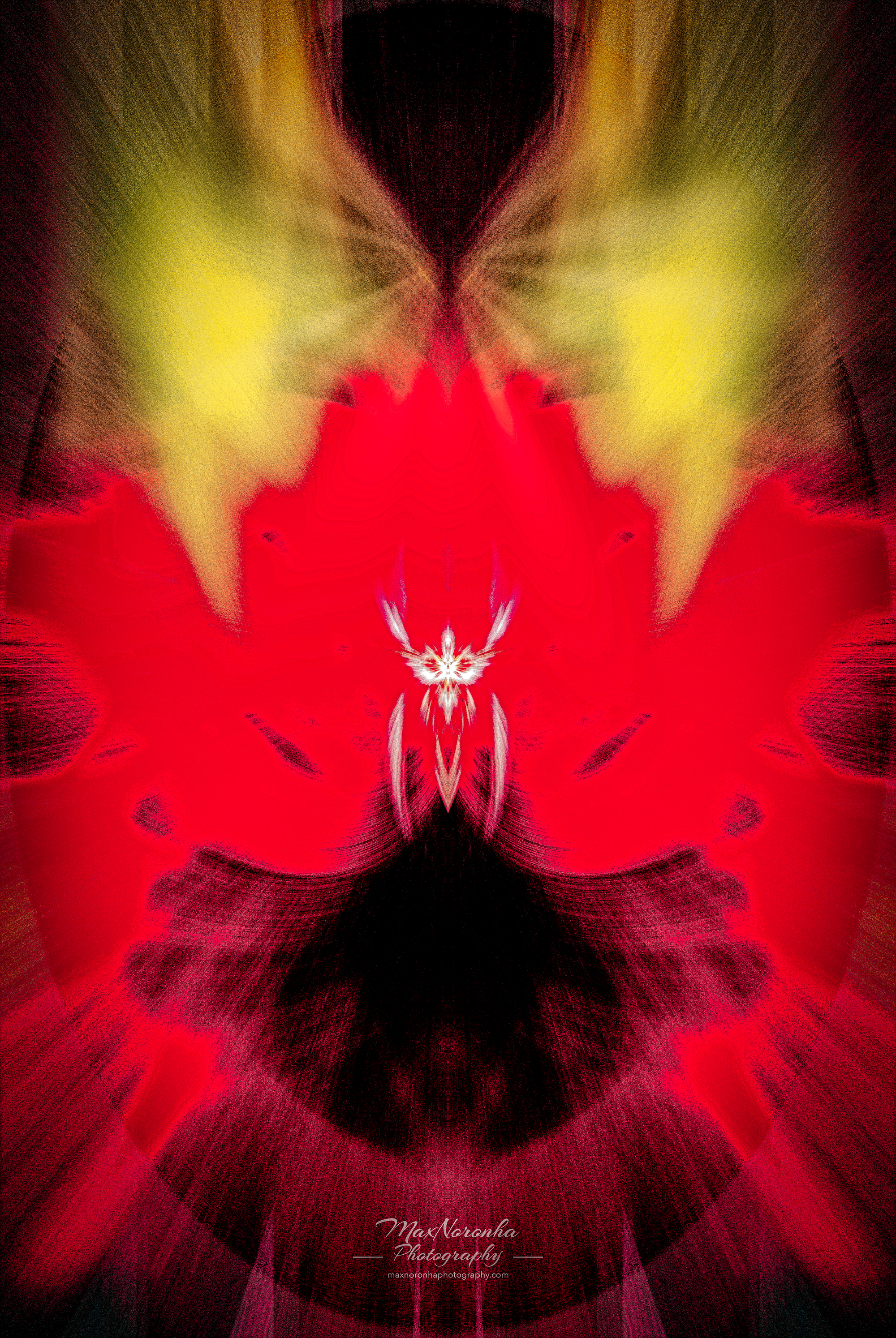 Ninja2forsocialmedia