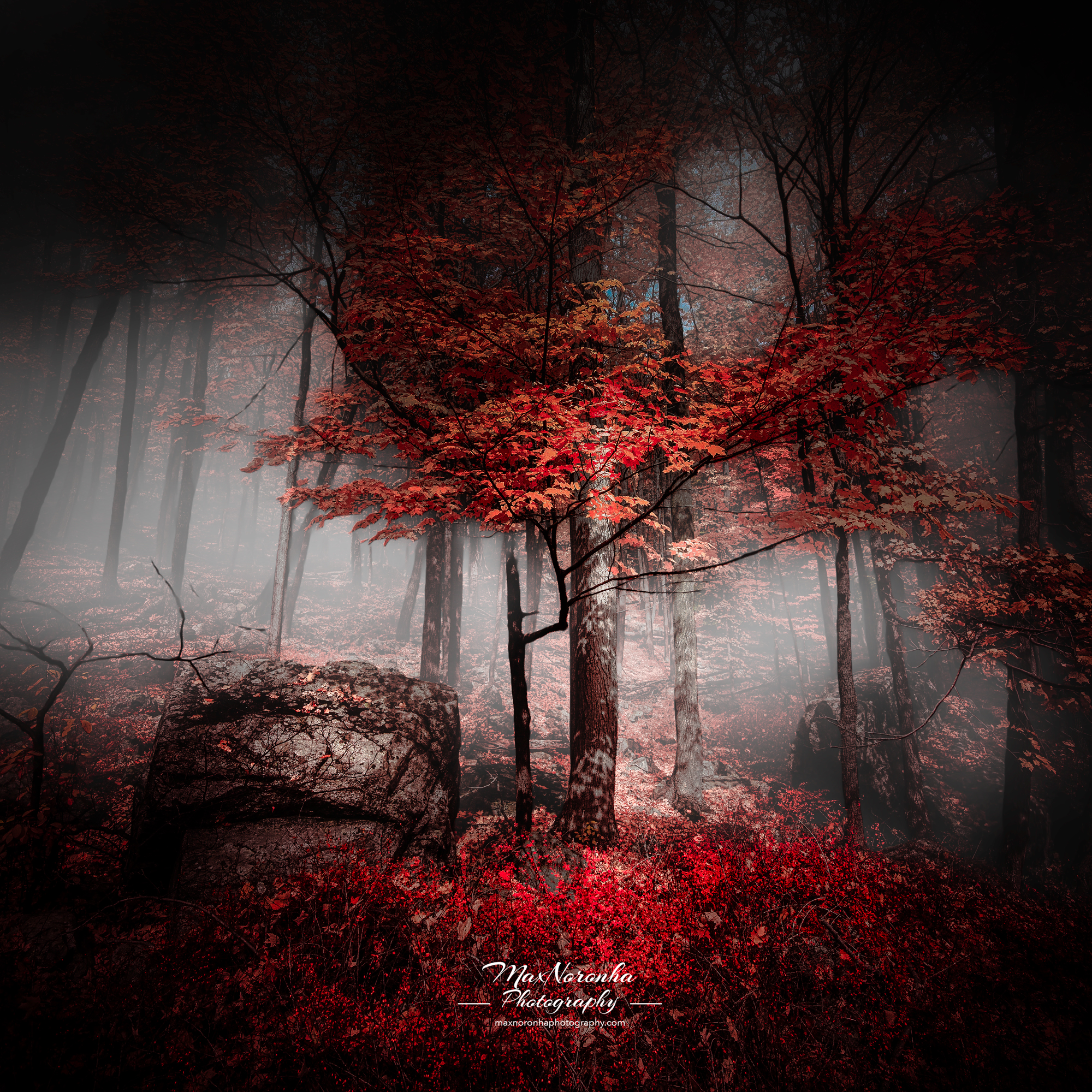 Redfallforsmedia